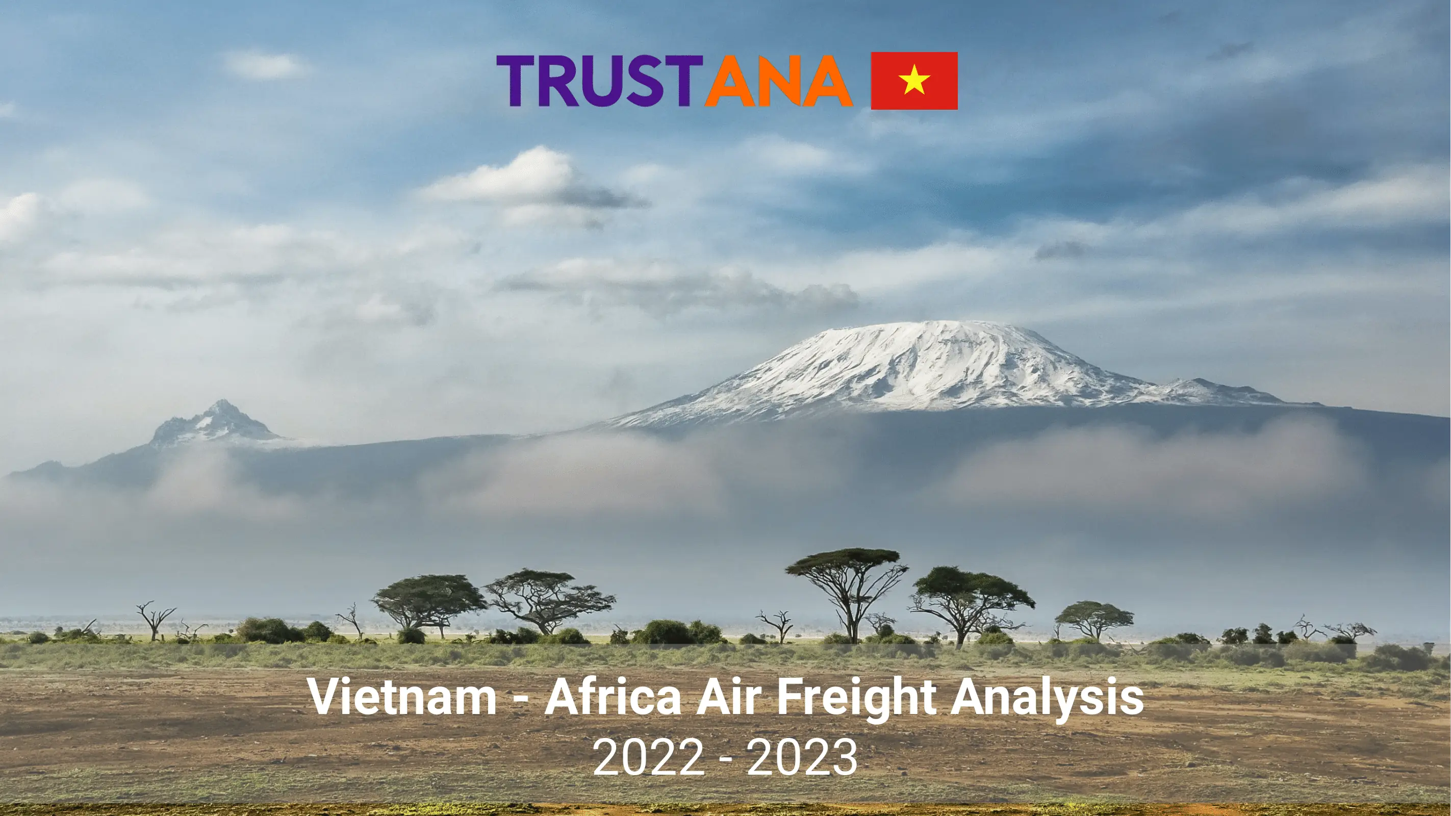 Vietnam Africa Air Freight Analysis