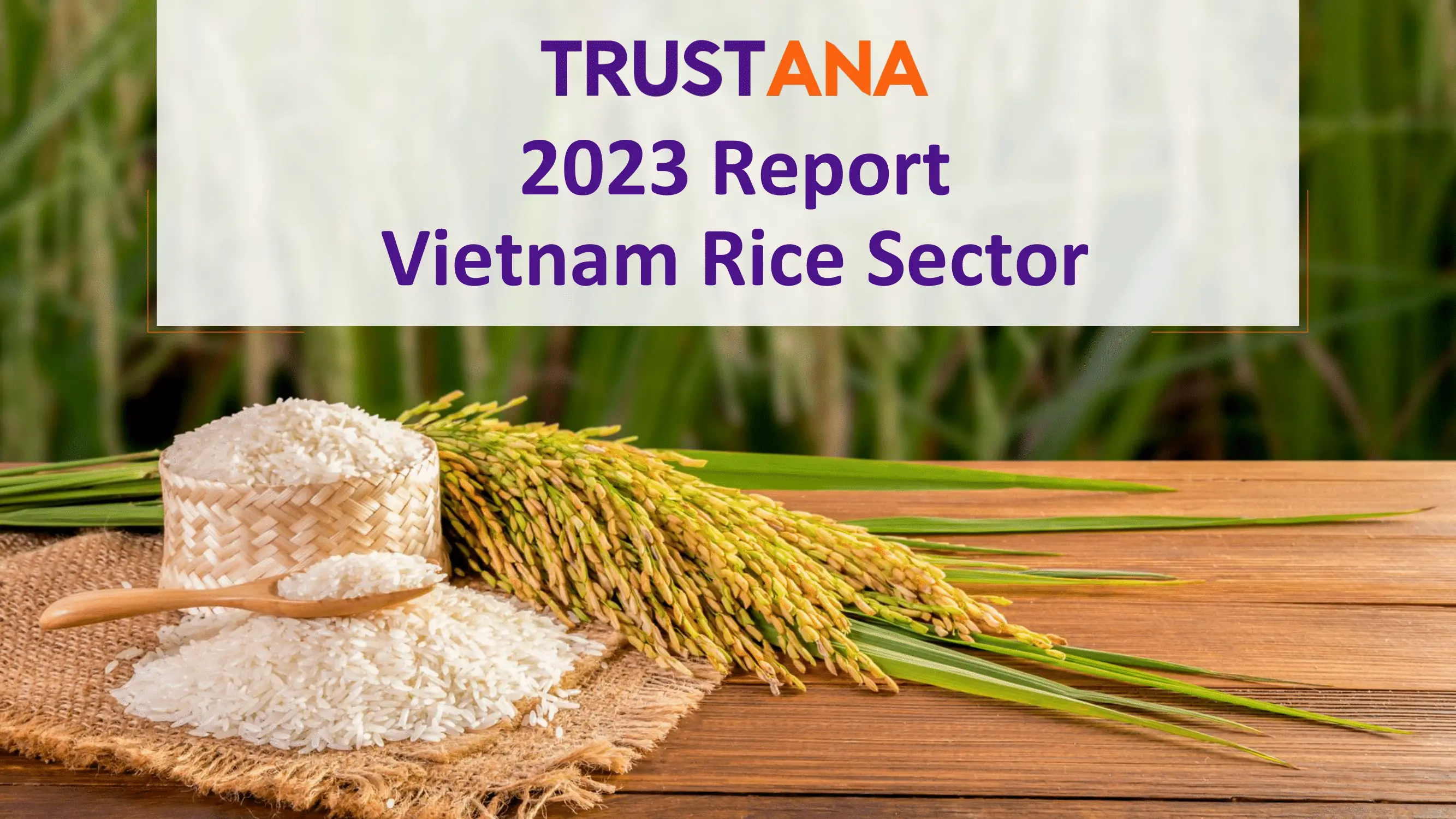 Vietnam Rice Export