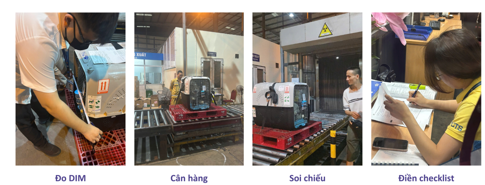 Pet Relocation from Vietnam to Cambodia