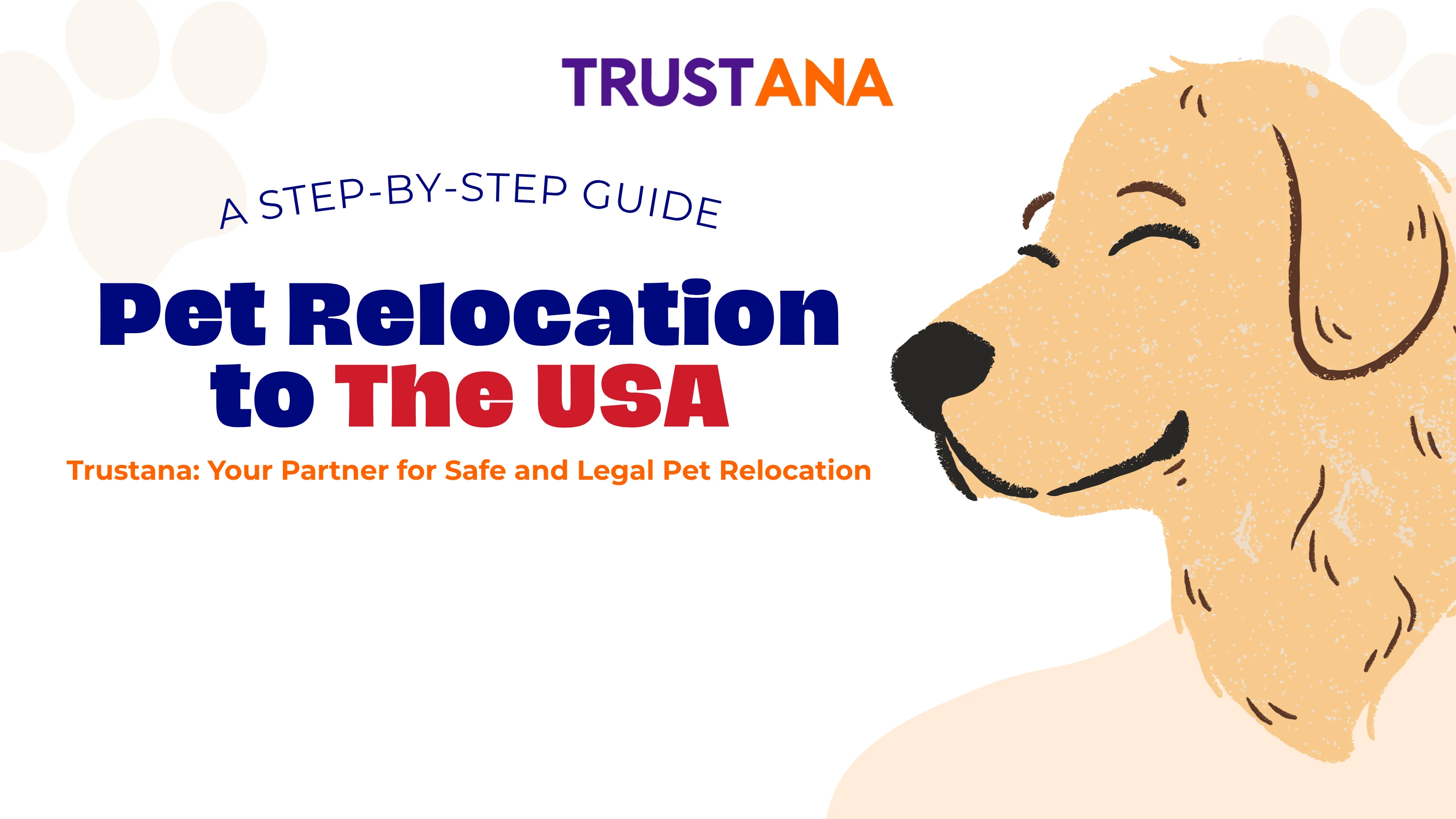 Pet Relocation Guide to the United States: Latest CDC Regulations