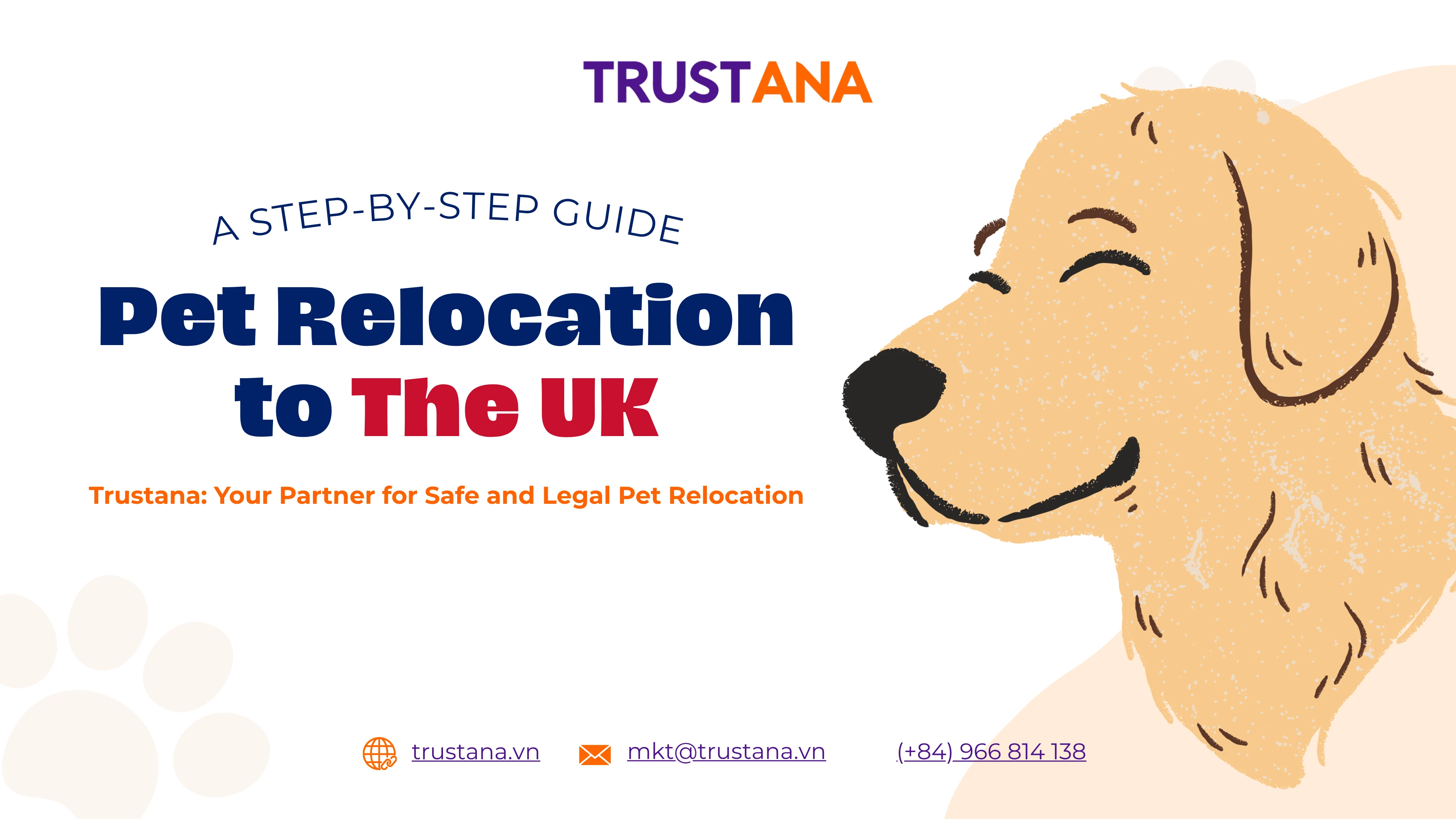 UK Pet Import Regulations: Complete Guide to Bringing Your Pet to the United Kingdom