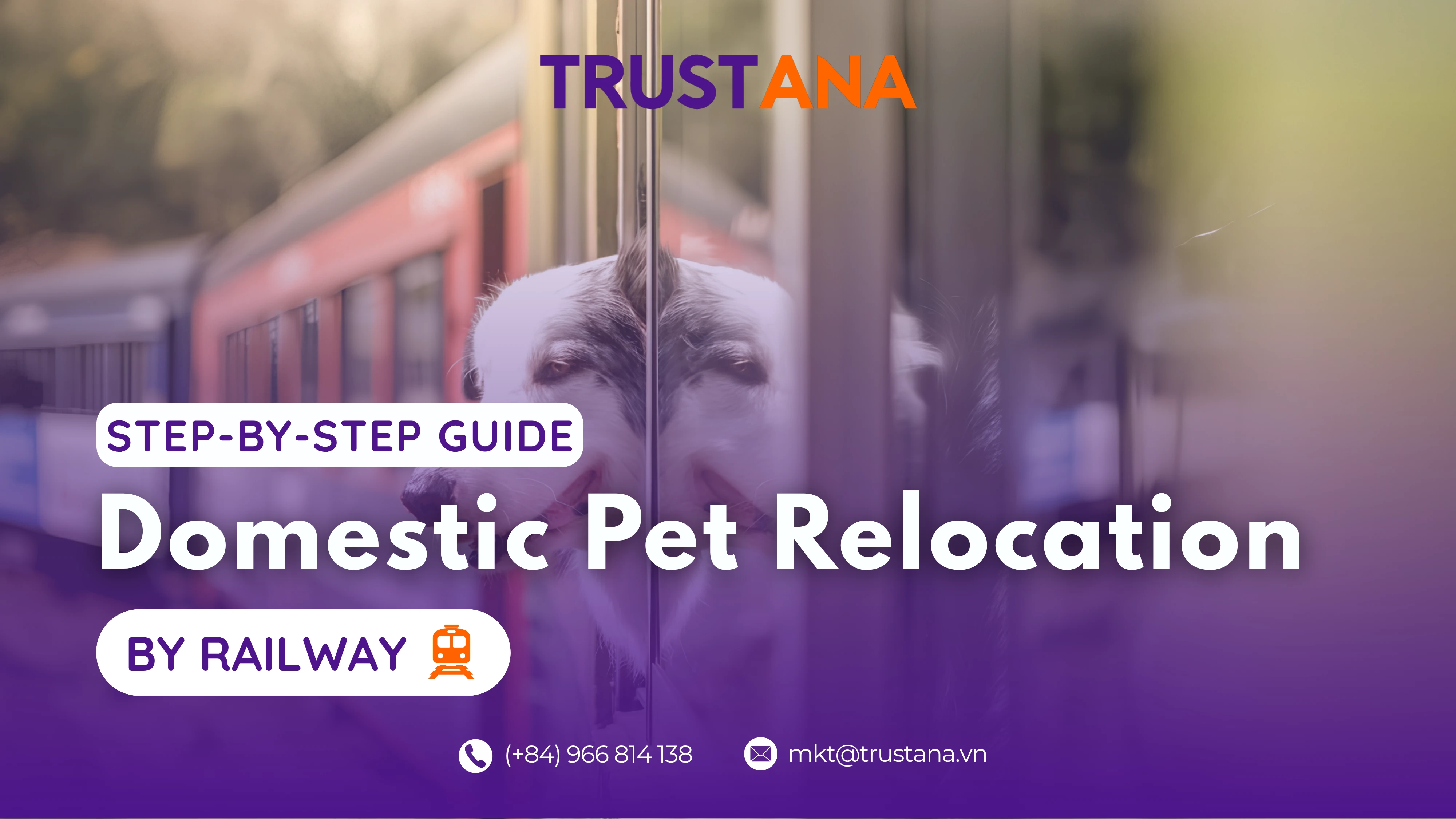 Pet Transportation by Train in Vietnam: What to Prepare and How Does It Work?